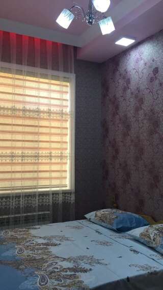 Гостевой дом Hasanovs Villa Баку Двухместный номер Делюкс с 1 кроватью (для 2 взрослых и 1 ребенка)-20