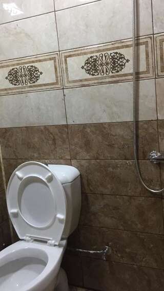 Гостевой дом Hasanovs Villa Баку Двухместный номер Делюкс с 1 кроватью (для 2 взрослых и 1 ребенка)-31
